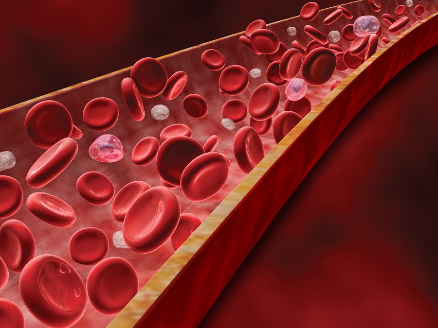 Blood Test Reference Ranges: What Healthcare Providers Need to Know
